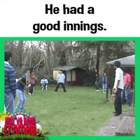 game over cricket GIF by You've Been Framed!