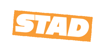 stadhaarlem Sticker
