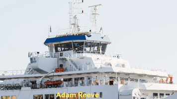 Adam Reeve GIF