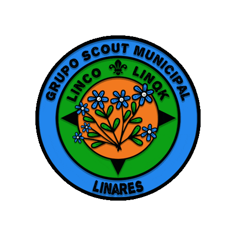 Scouts Linco-linqk Sticker