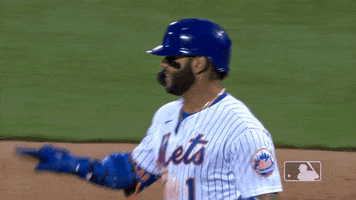Hold Up Wait GIF by New York Mets