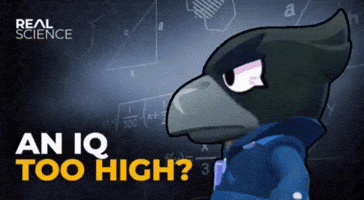 Cow GIF