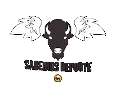 Sports Bar Sticker by Buffalo Wild Wings México