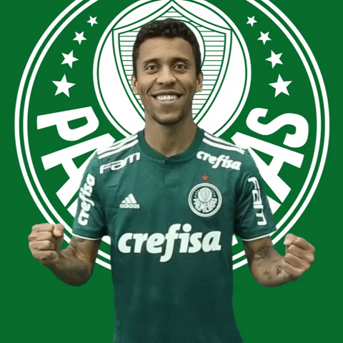 te amo love GIF by SE Palmeiras