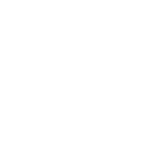 Star Sparkle Sticker