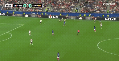 France GIF