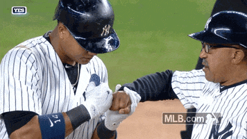New York Yankees Hand GIF by MLB