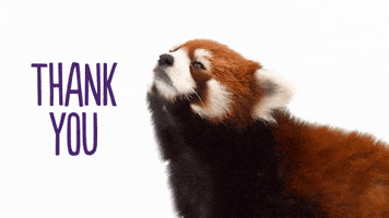 Red Panda Thank You GIF by TELUS