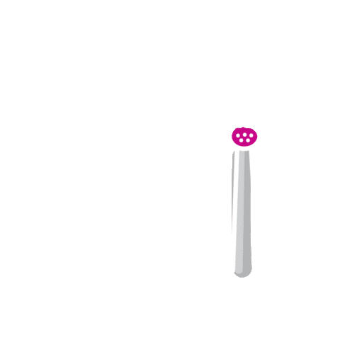 Ef Education First Berlin Sticker by efmoment