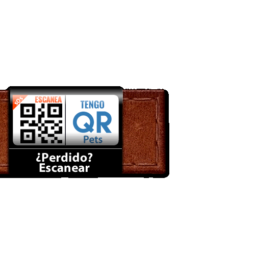 Qr Mascotas Sticker by TengoQR