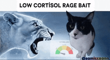 Cat Rage GIF