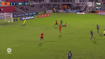 Brisbane Roar FC GIF
