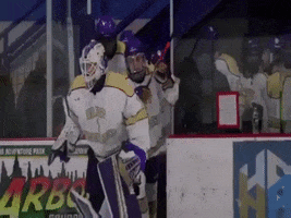 College Hockey GIF by Saint Michael's College
