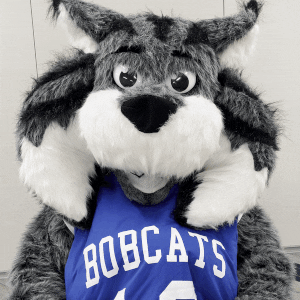 Mascot Thumbs Up GIF by Bryant & Stratton College