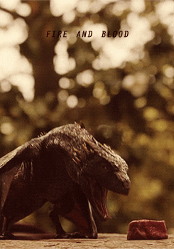 Game Of Thrones Dragon GIF