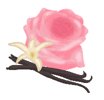 Vanilla Bean Flower Sticker by Each and Every
