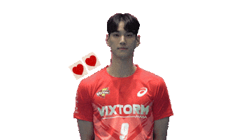 Vixtorm Sticker