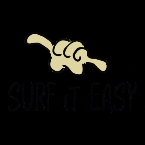 surfiteasy cool surf surfing easy GIF