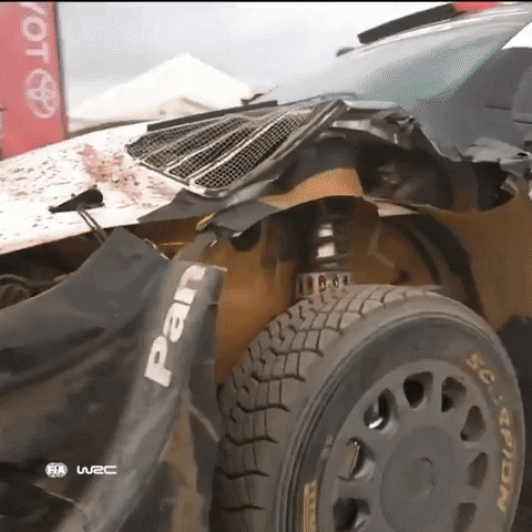 Game Over Car GIF by FIA World Rally Championship