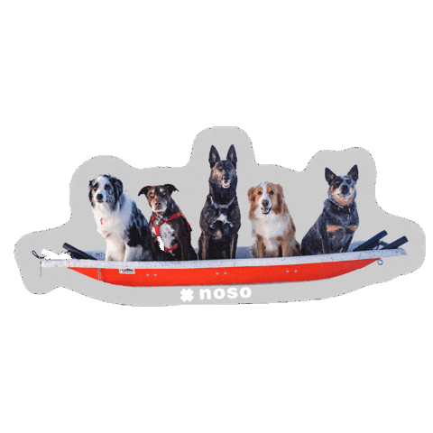 Sticker by nosopatches