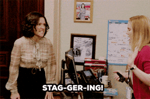 Veep GIF