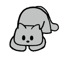 Cat Shaking Sticker