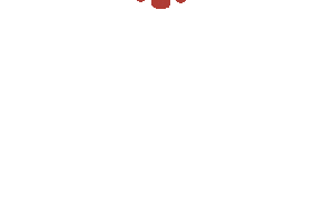 Shine Sticker