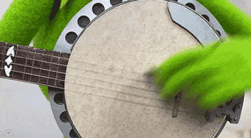 Kermit The Frog Guitar GIF by Muppet Wiki