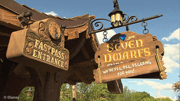 roller coaster dwarfs GIF by Disney Parks