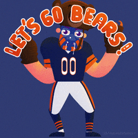 Chicago Bears Football GIF by Manne Nilsson