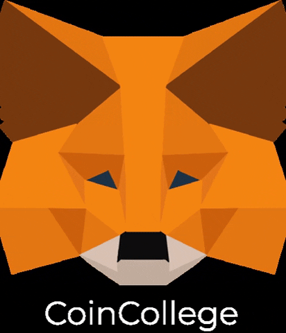 Mask Crypto GIF by CoinCollege International