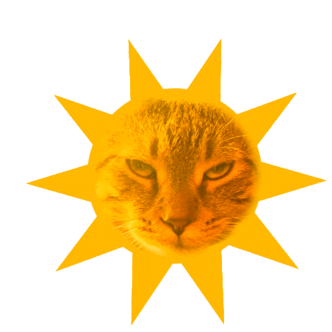 Cats Sun Sticker by Wisdom Panel™