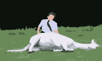 Animated GIF