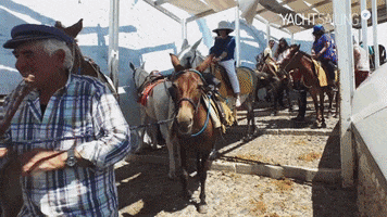 Yachtsailing.gr GIF