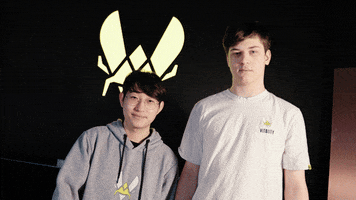 League Of Legends Heart GIF by Team Vitality
