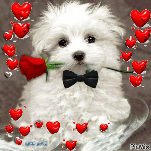 Giving-love GIFs - Get the best GIF on GIPHY