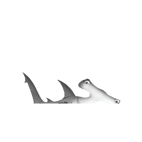 Sharks4Kids Sticker