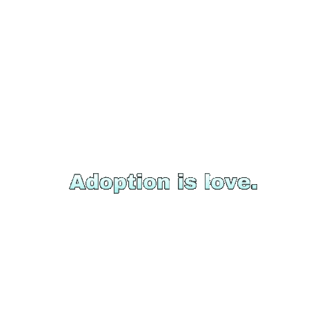 Adoption Adoptee Sticker by Funding Love