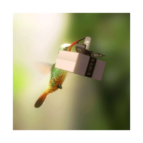 Gift Box Humming Sticker by W.KRUK