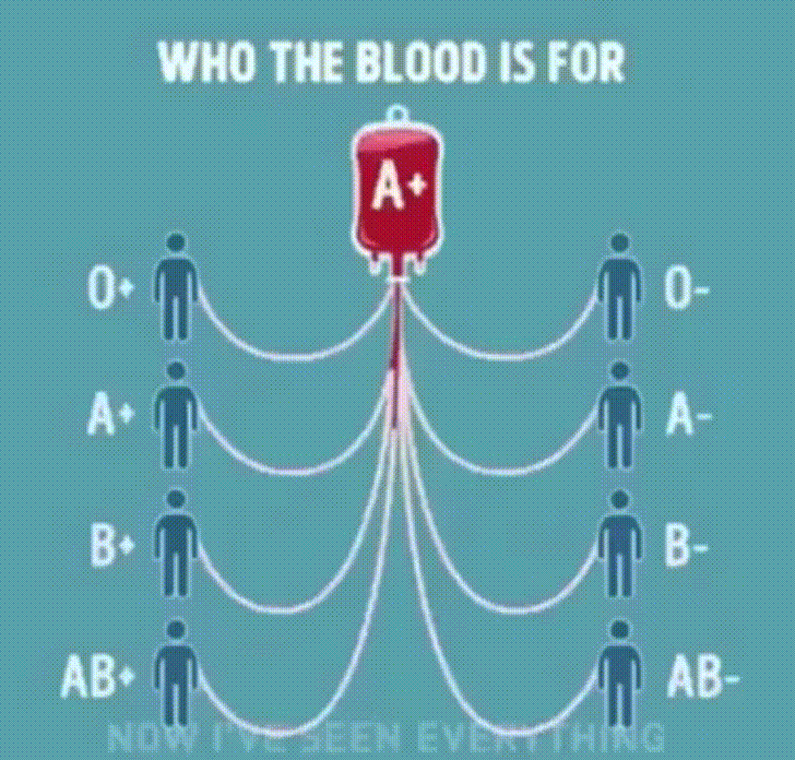 gif used in post
