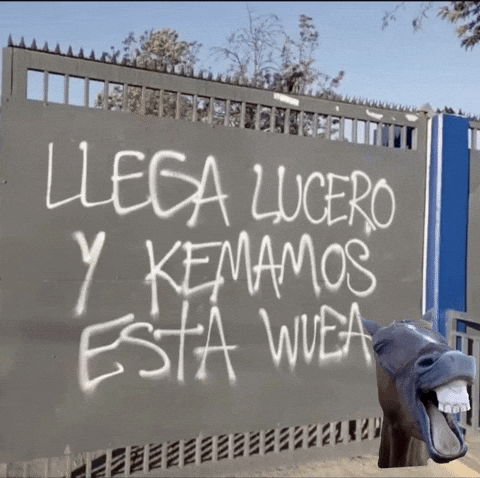 U De Chile Lucero GIF