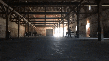 Festspiele Mecklenburg-Vorpommern GIF