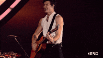 Shawn Mendes Guitar GIF by NETFLIX
