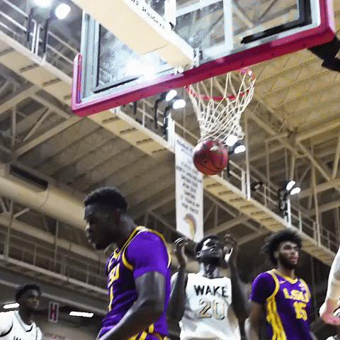 Fired Up Sport GIF by LSU Tigers