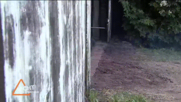 lawnmower carriage GIF