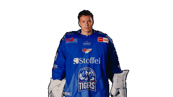 Tigershockey Sticker by Straubing Tigers