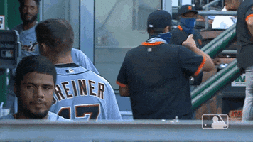 Happy Sport GIF by Detroit Tigers
