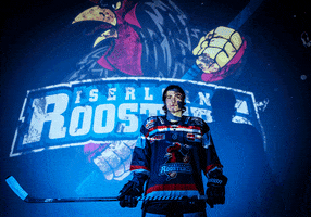 Tor Bailey GIF by Iserlohn Roosters