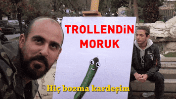 Aras GIF