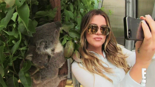Image result for khloe kardashian selfie koala